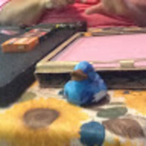 Meet your Posher, Mindy